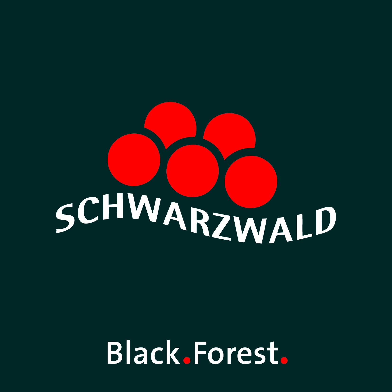 Schwarzwald Tourismus GmbH