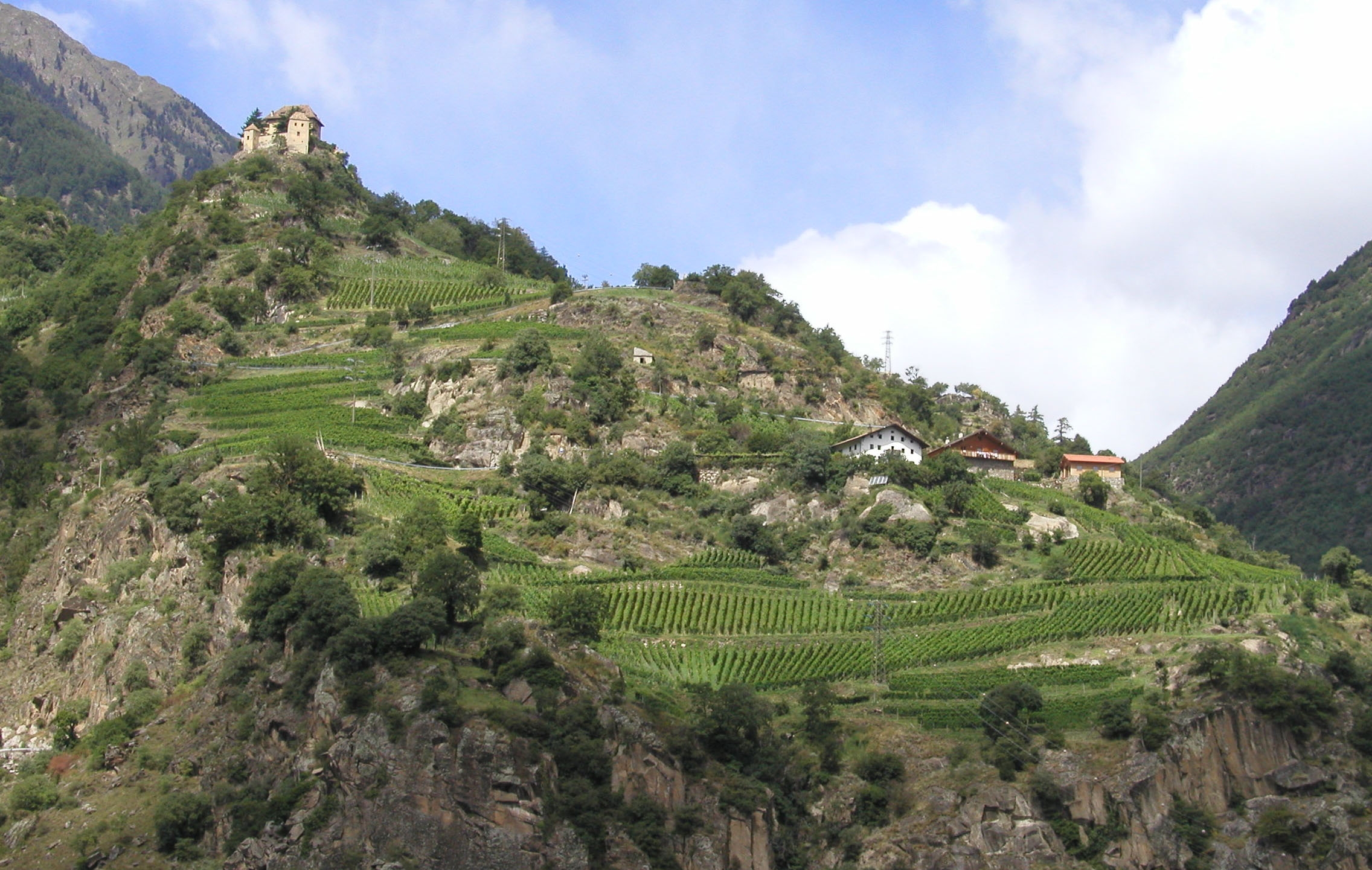 Weingut Castel Juval Unterortl